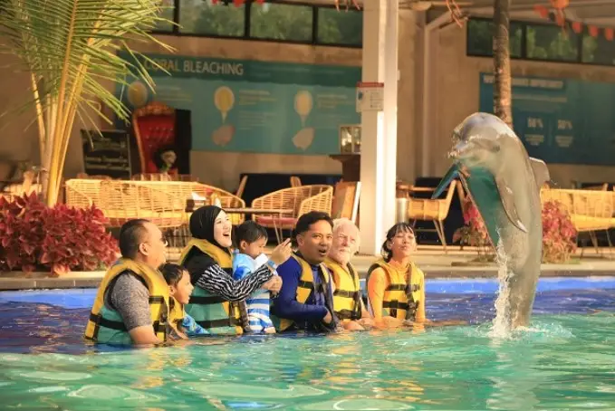 3 órás Delfin Program – Bali