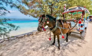 Gili islands 8