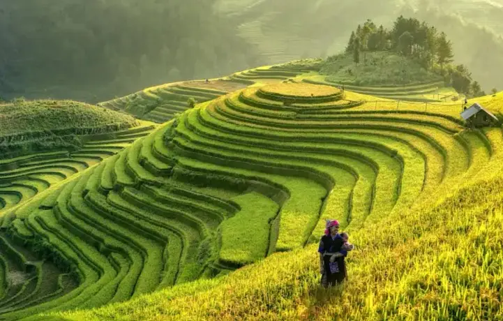Ho Chi Minh