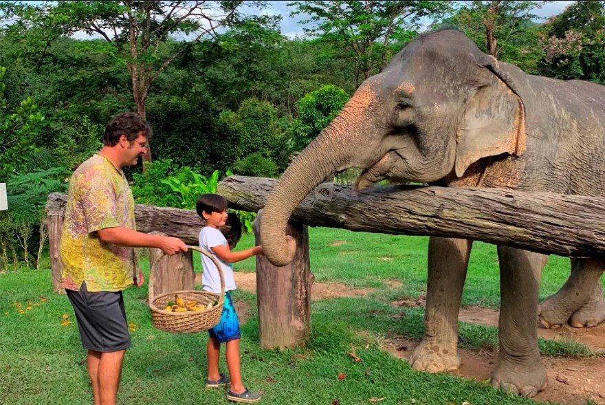 Bakas Elefánt Park, Kelet-Bali