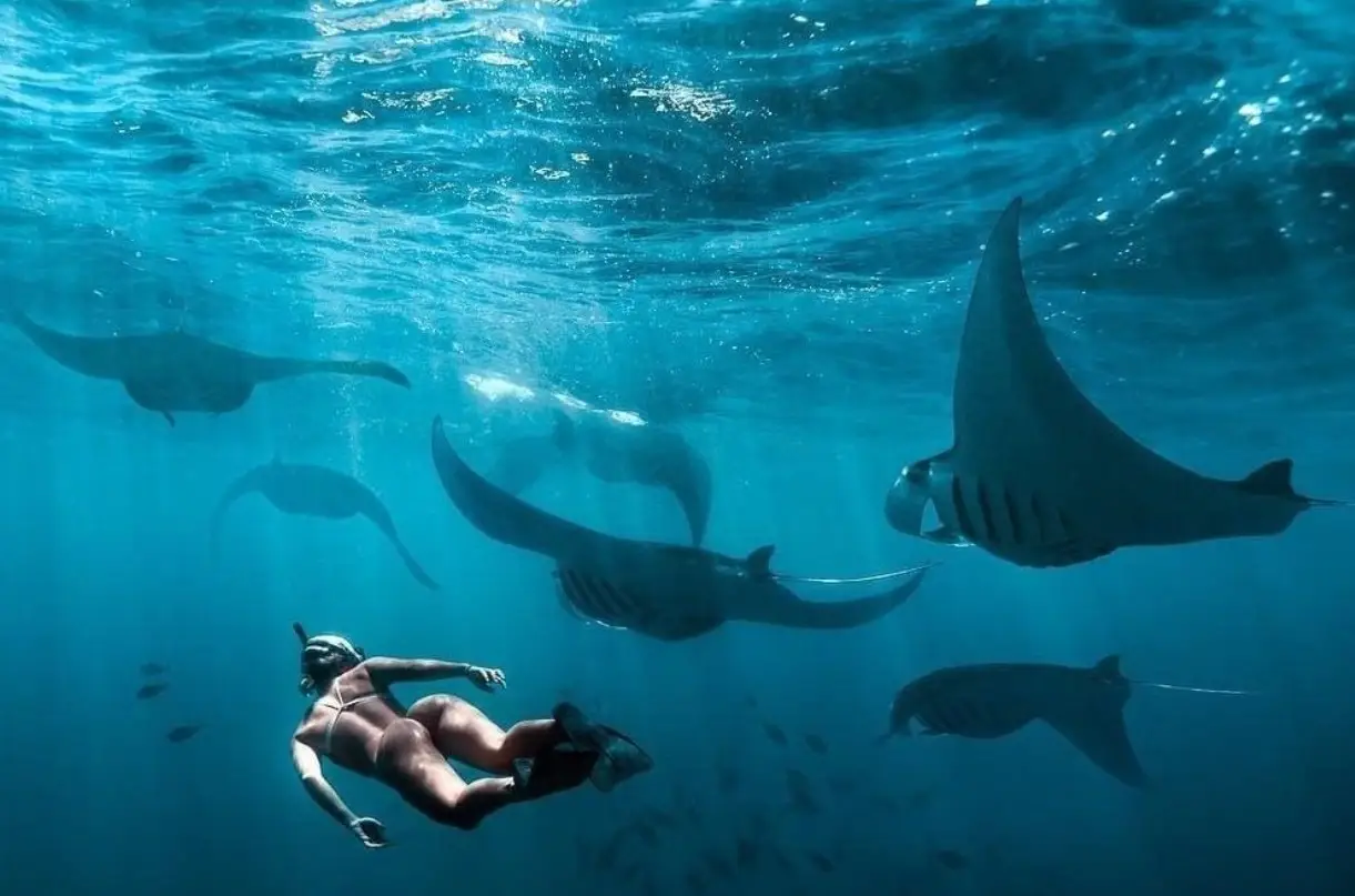 Manta Point hajós túra, Lembongan