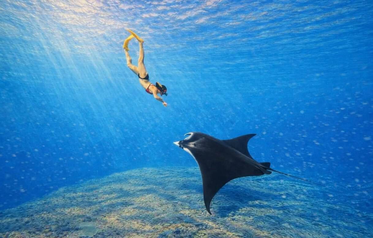 Manta Point